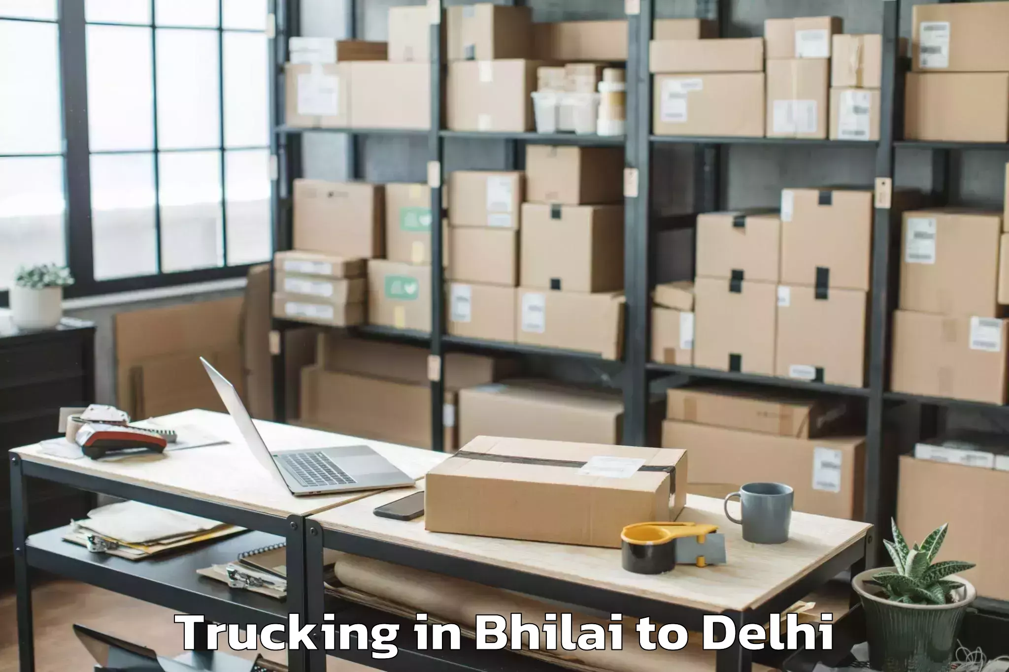 Trusted Bhilai to Unity One Mall Cbd Shahdara Trucking